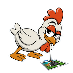 Feed the Chicken